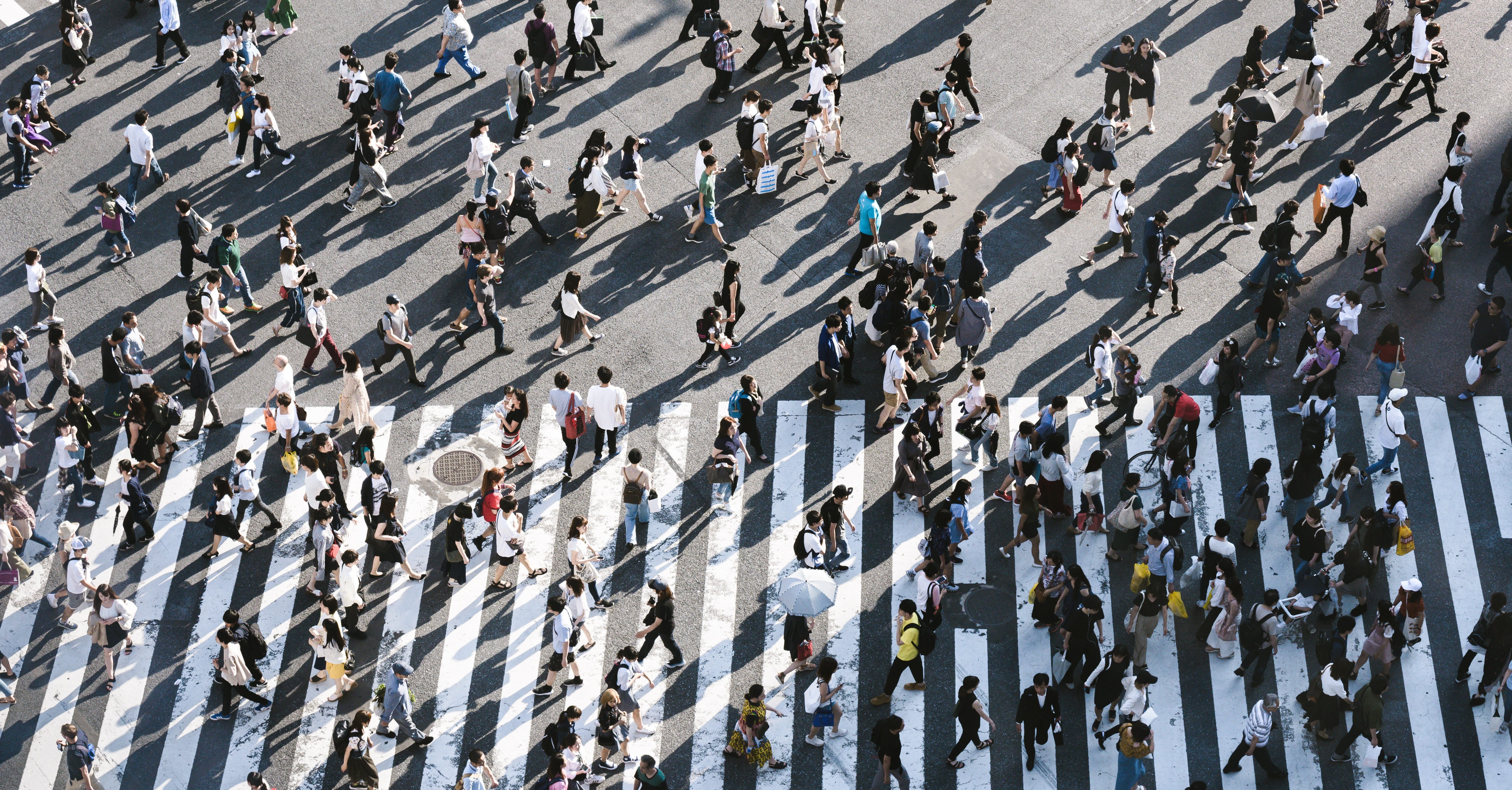 ryoji-iwata-697773-unsplash